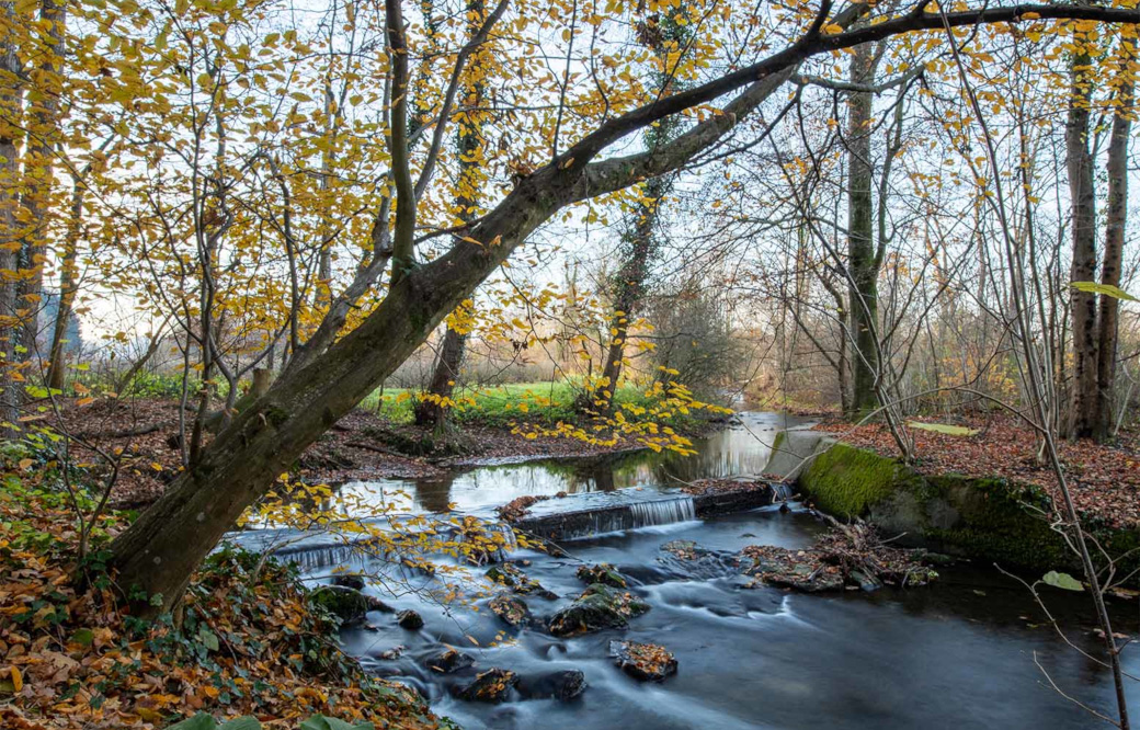 landschaft
